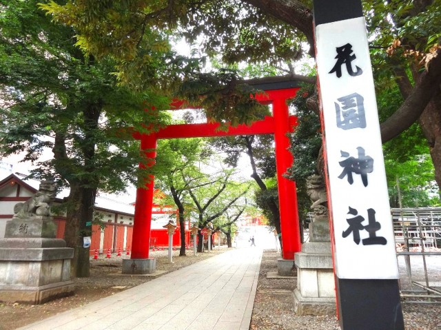 セイントマンション　花園神社