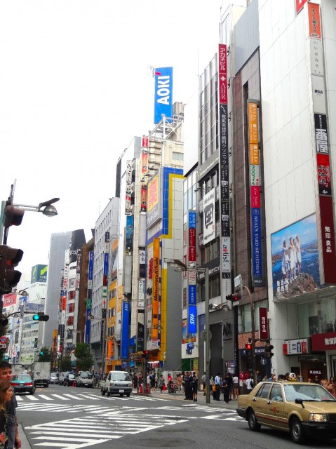 レイフラット新宿　新宿周辺