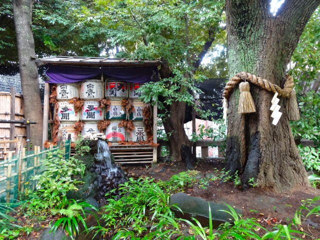 ニックハイム飯田橋　東京大神宮