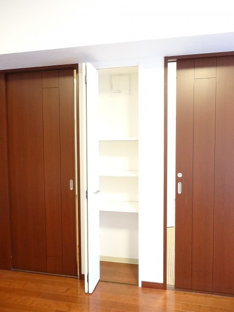 クリオレジダンス大森イースト　洋室扉と収納