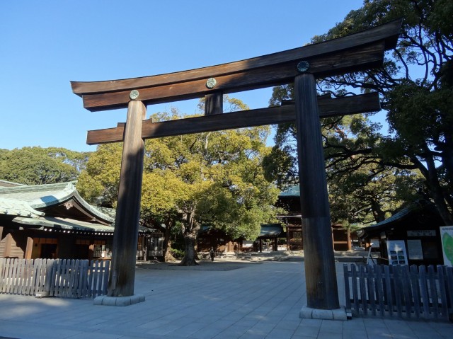 南青山高樹町ハイツ　明治神宮