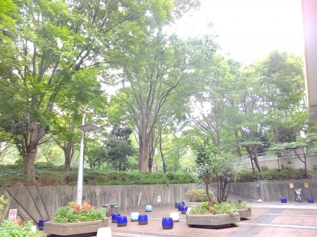コンシェリア西新宿　公園