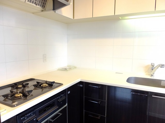 コンシェリア西新宿　キッチン2209