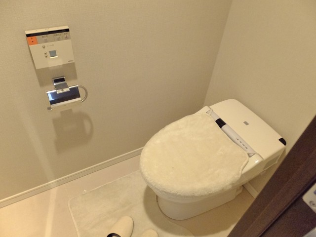 コンシェリア西新宿　トイレ1209