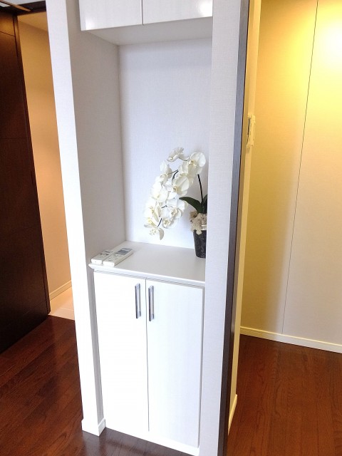 コンシェリア西新宿　リビング棚1209