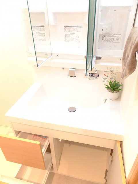 MSマンション阿佐谷301　洗面台