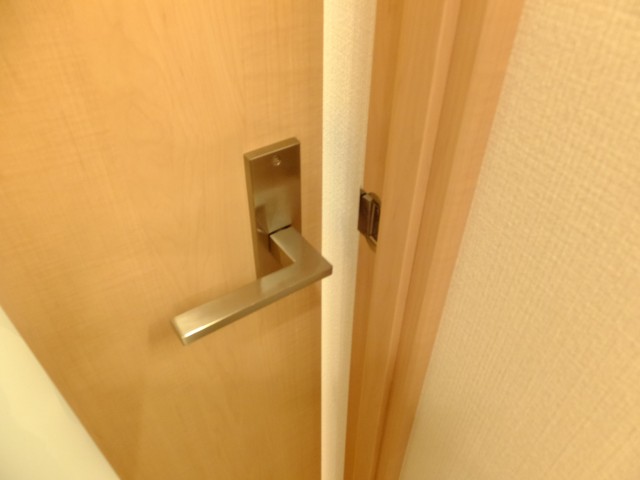 MSマンション阿佐ヶ谷　リビングドア