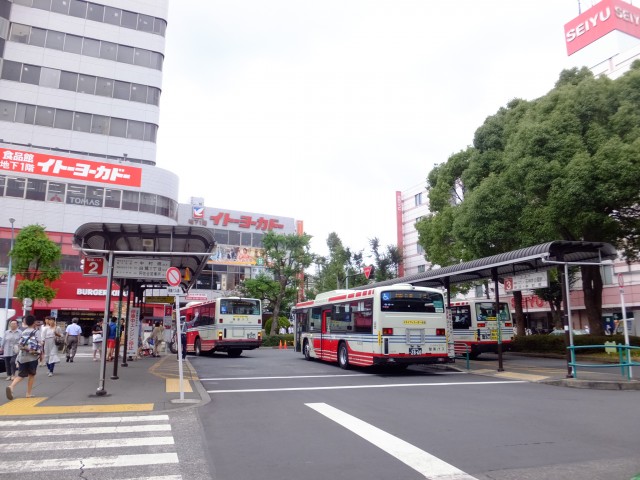 MSマンション阿佐ヶ谷　周辺