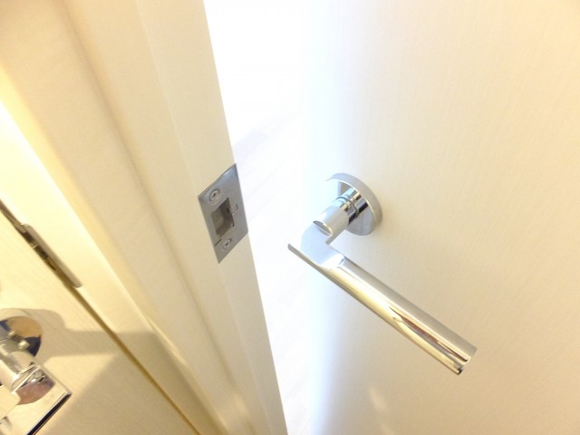 ライズ中野新橋　 リビングドア