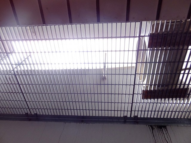 ライズ中野新橋　 ドライエリア