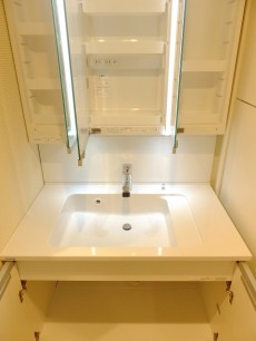 シルキーハイツ九段南2号館　洗面台
