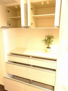 シルキーハイツ九段南2号館　キッチン棚