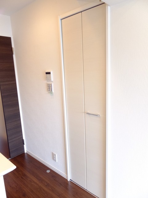 セザールリバーサイド中洲　収納棚