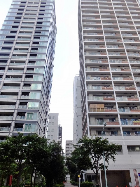 シティ田町　周辺