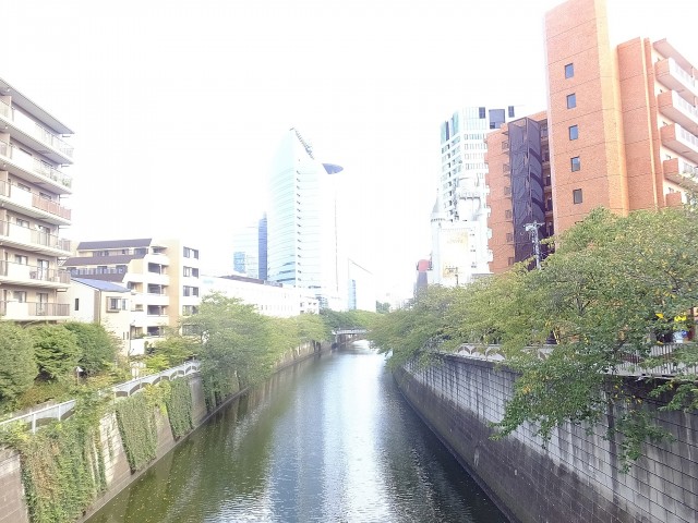 ザ・グランフォーリア目黒　周辺