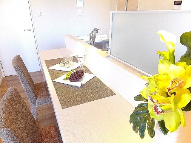 マンション白金苑　キッチンカウンター