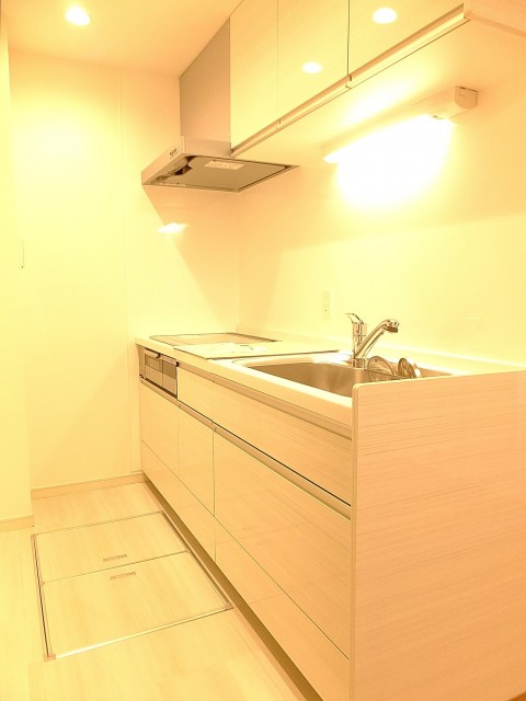 尾山台リバーサイドハイデンス　キッチン