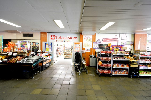 プロスペアー祐天寺テラス　周辺環境