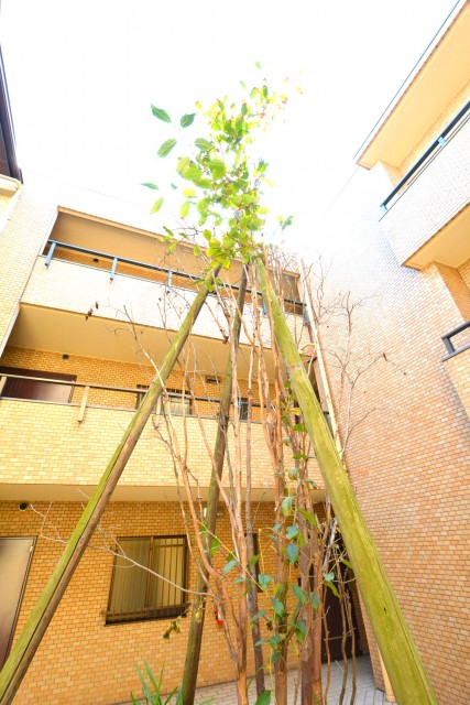 プロスペアー祐天寺テラス　中庭