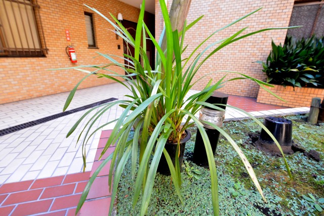 プロスペアー祐天寺テラス　中庭