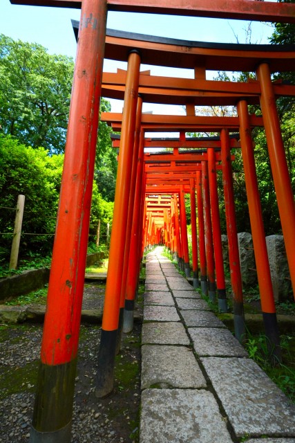 フジホーマンション　周辺