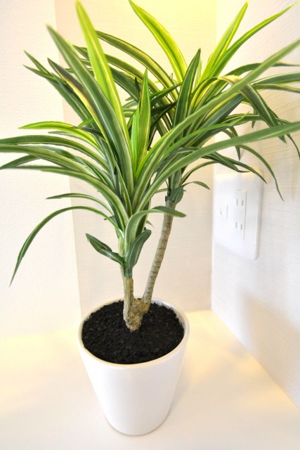 豊栄西荻マンション　ＬＤＫ