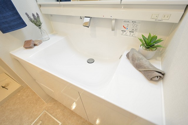 ハイツ赤坂　シャンプードレッサータイプ　402