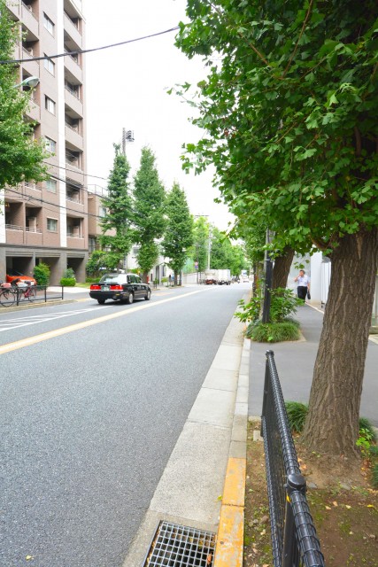 ブランズ中野南台　周辺環境