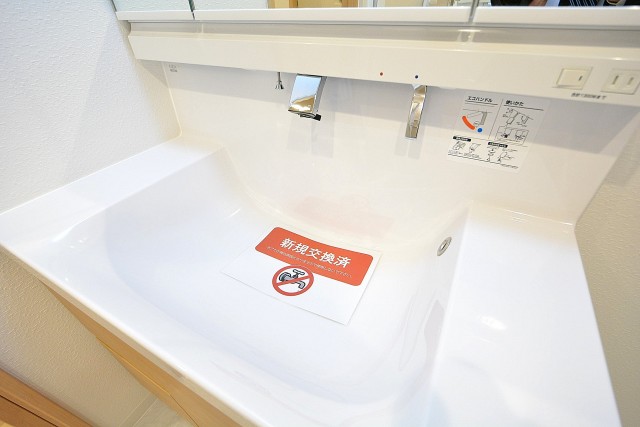 秀和第二南平台レジデンス　洗面台