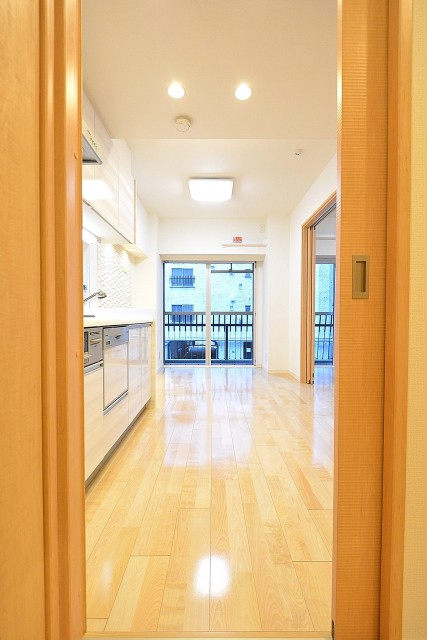 秀和第二南平台レジデンス　DKドア