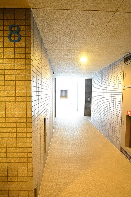 三軒茶屋シティハウス　共有廊下