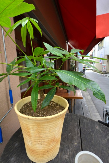 東中野パークマンション　周辺環境