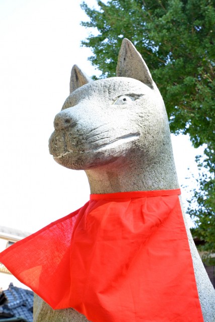 プロスペアー祐天寺テラス　周辺環境