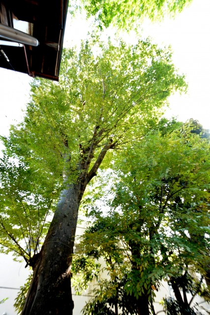 プロスペアー祐天寺テラス　周辺環境