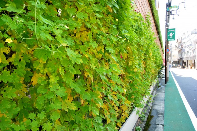 プロスペアー祐天寺テラス　周辺環境