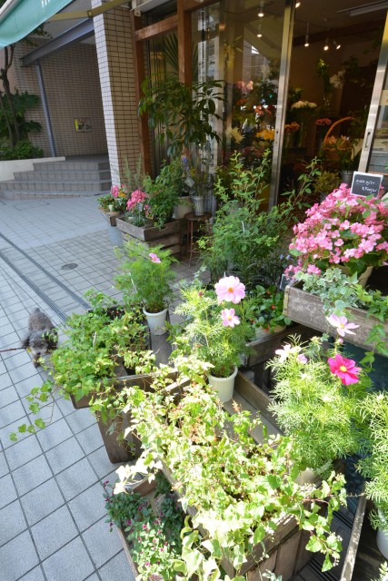 フジホーマンション　周辺