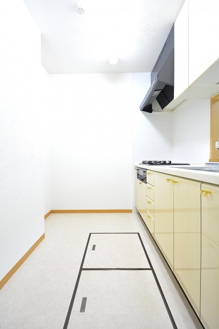 クリオ高田馬場壱番館　キッチン