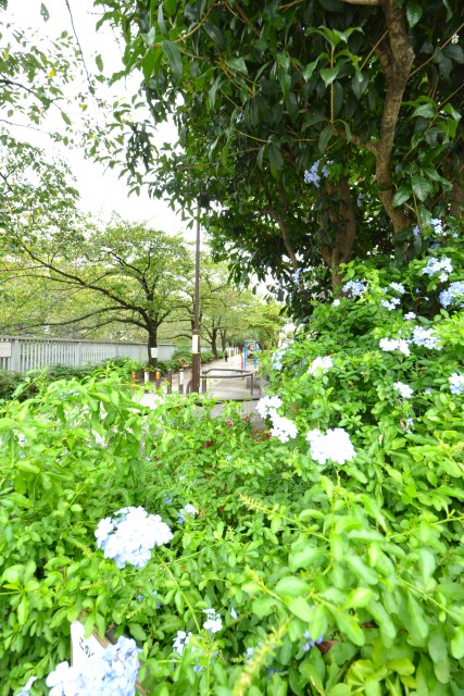 東中野パークマンション　周辺環境