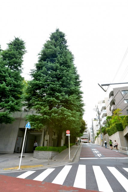 東中野パークマンション　周辺環境