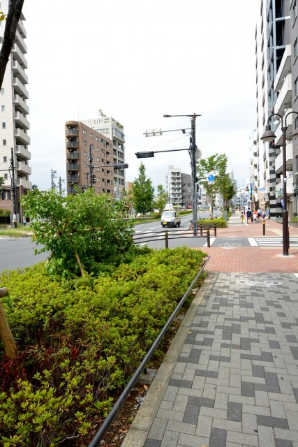 東中野パークマンション　周辺環境