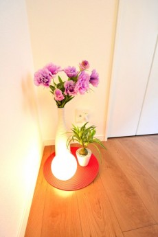 ダコタ西荻　洋室5.6帖