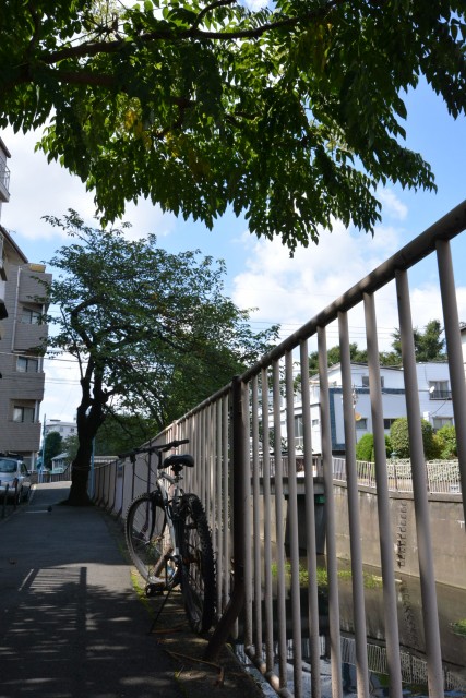 クレール荻窪　周辺