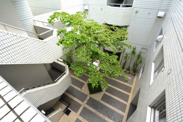 クレール荻窪　中庭
