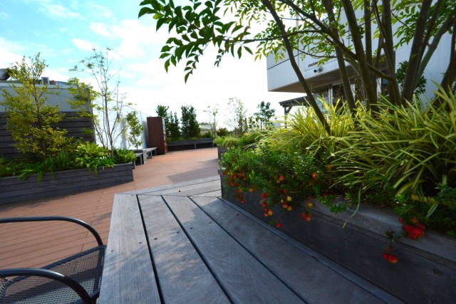 ネオ荻窪ハイム　周辺