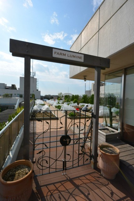 ネオ荻窪ハイム　周辺