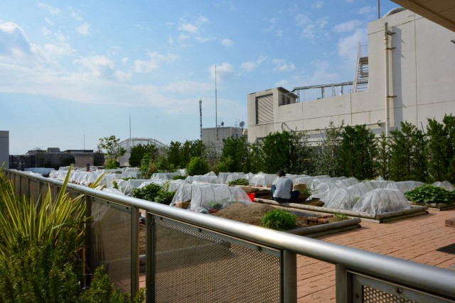 ネオ荻窪ハイム　周辺