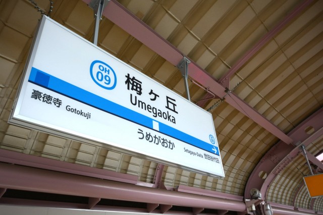 朝日プラザ梅ヶ丘　周辺