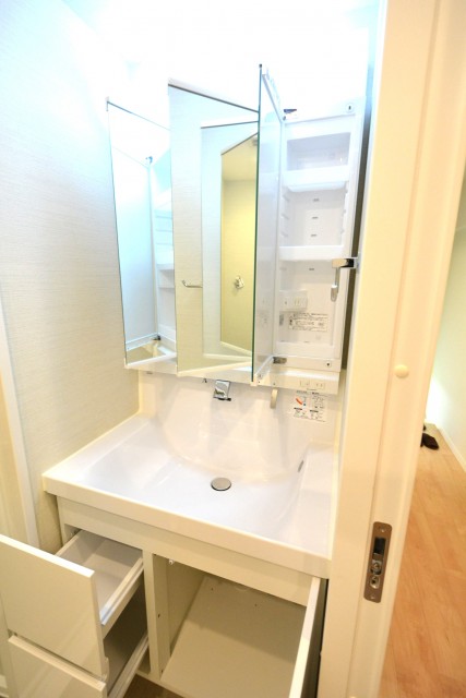 朝日プラザ梅ヶ丘　洗面台　302