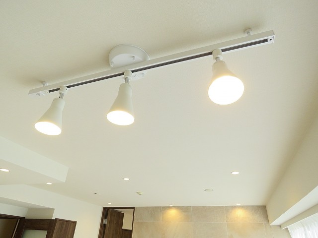 ルピナス中野レジデンス　照明