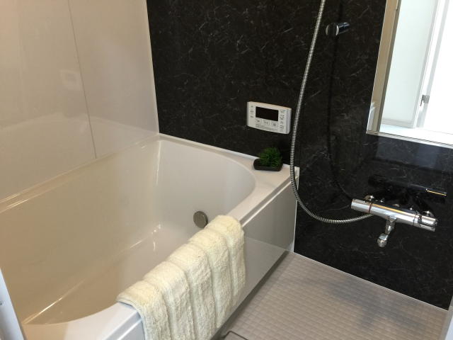 メゾン・デラビル巣鴨　バスルーム